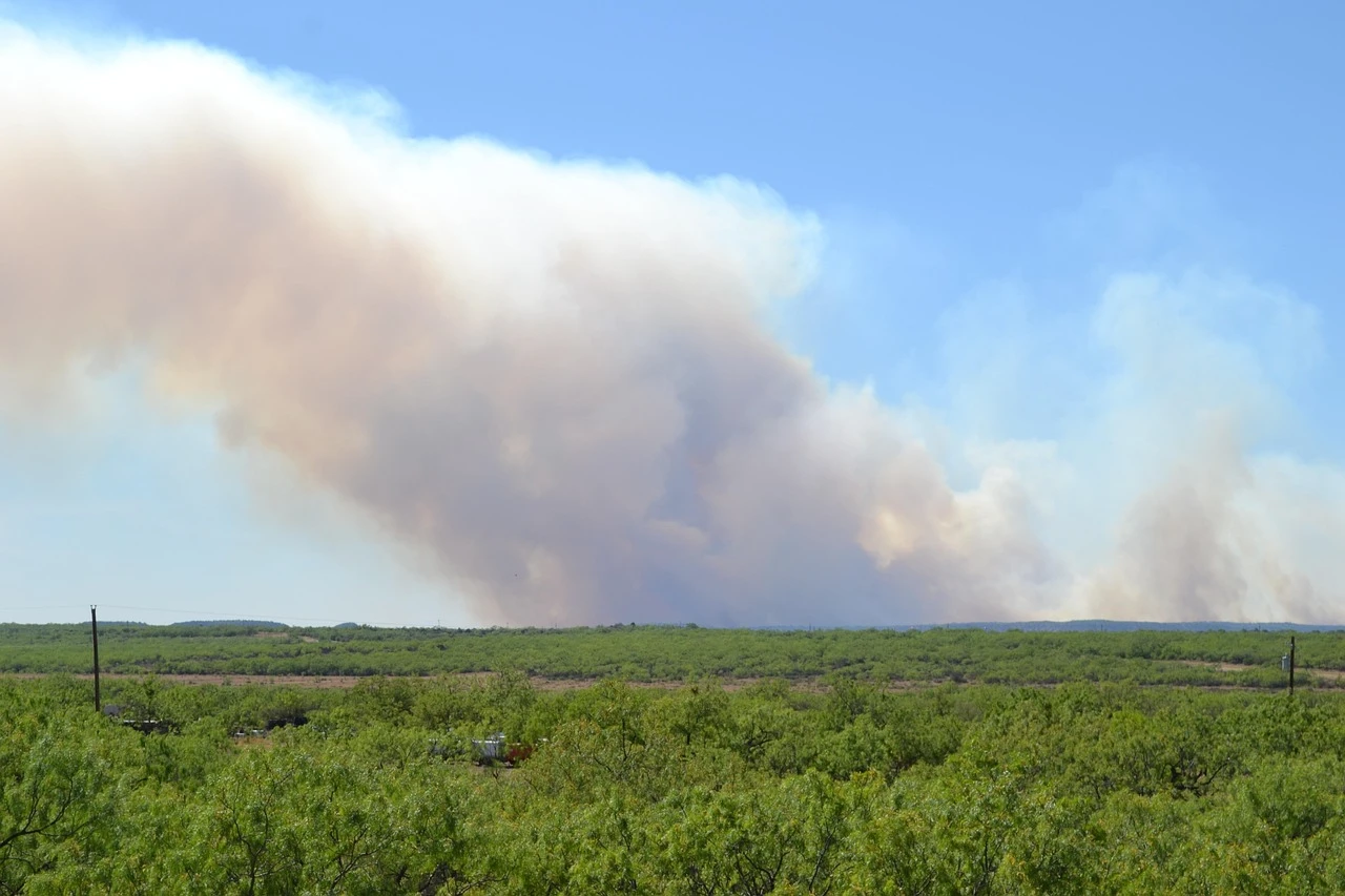 Wildfire Detection & Response